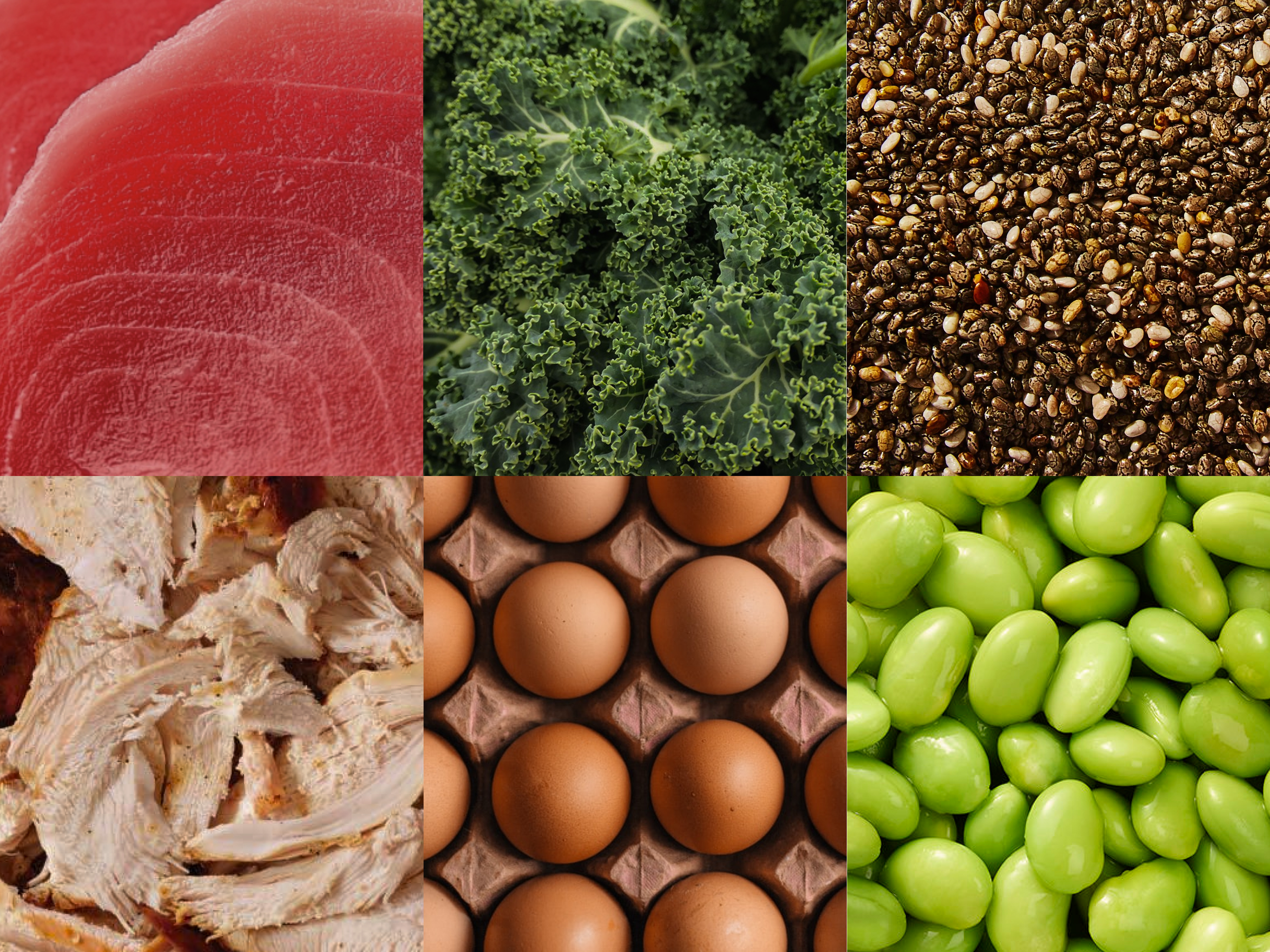 vs. Proteins: What's the Difference? Gainful